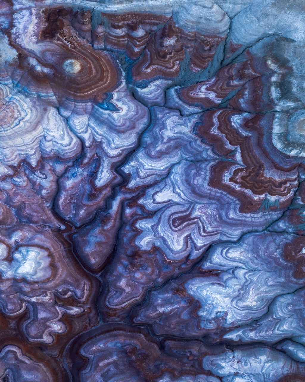 Fun Day At Fujifilm – Folkus&nbsp;Polkus